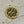 What Should We Play Today Coin